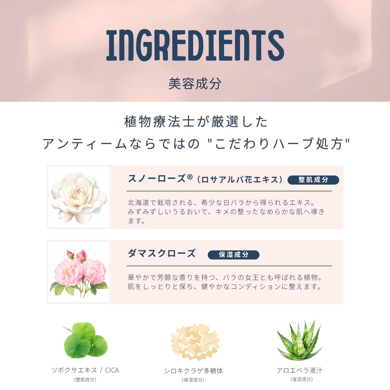 Amazon | アンティームオーガニック ローズローション 100g 2025年
